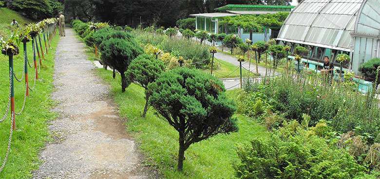 Lloyd's Botanical Garden